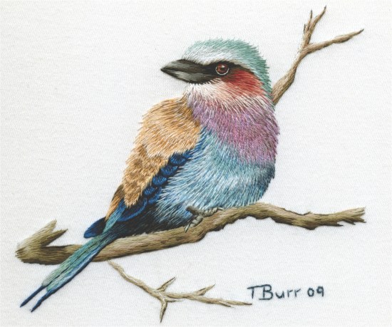 Lilac Breasted Roller